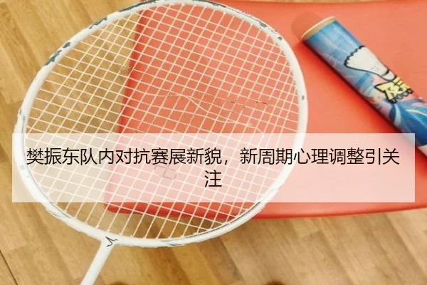 樊振东队内对抗赛展新貌，新周期心理调整引关注