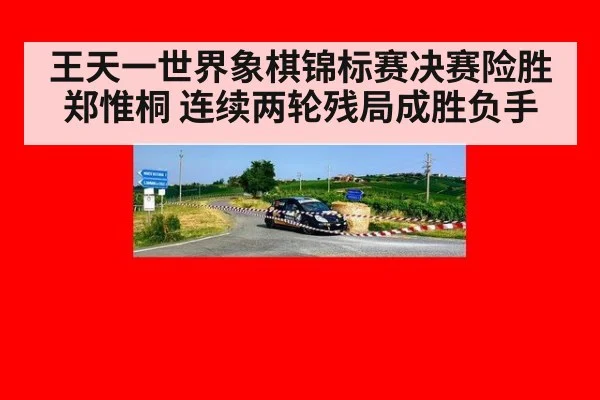 王天一世界象棋锦标赛决赛险胜郑惟桐 连续两轮残局成胜负手